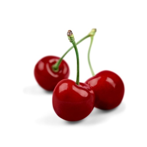 fruit-loods