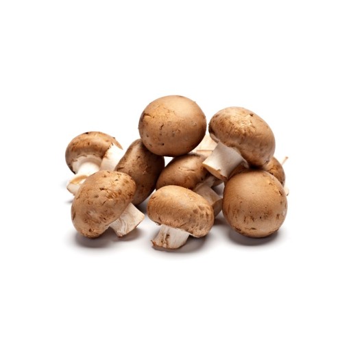 Kastanje champignons