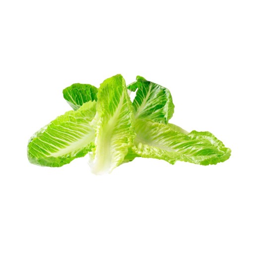 Romaine sla